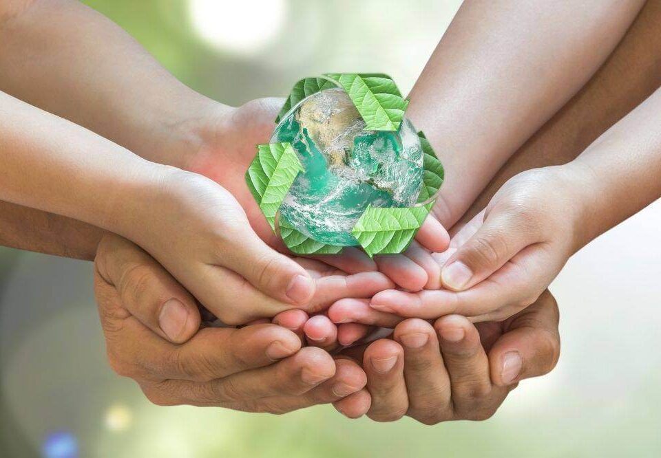 Produtos biodegradáveis: o que são?