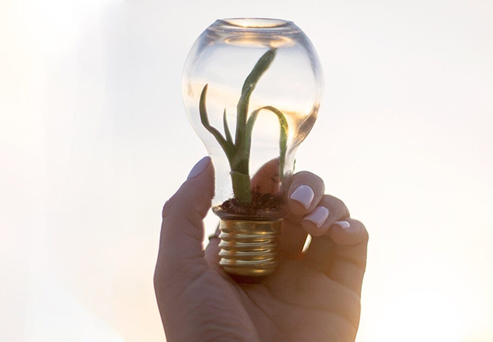 Sustentabilidade e eficiência são pautas para 2022